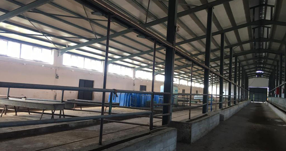 Fabrika Çatı Yıkımı ve Sökümü